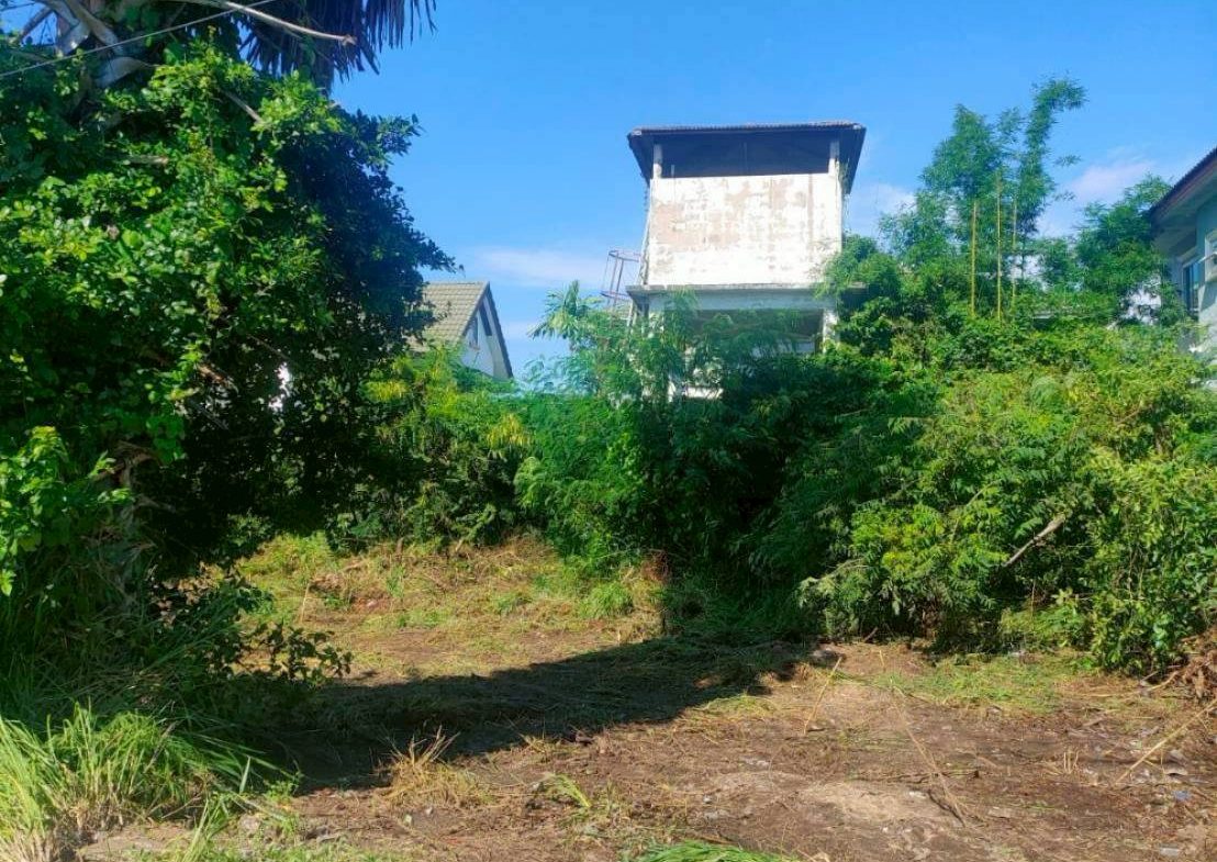 Без комплекса br sqm 2