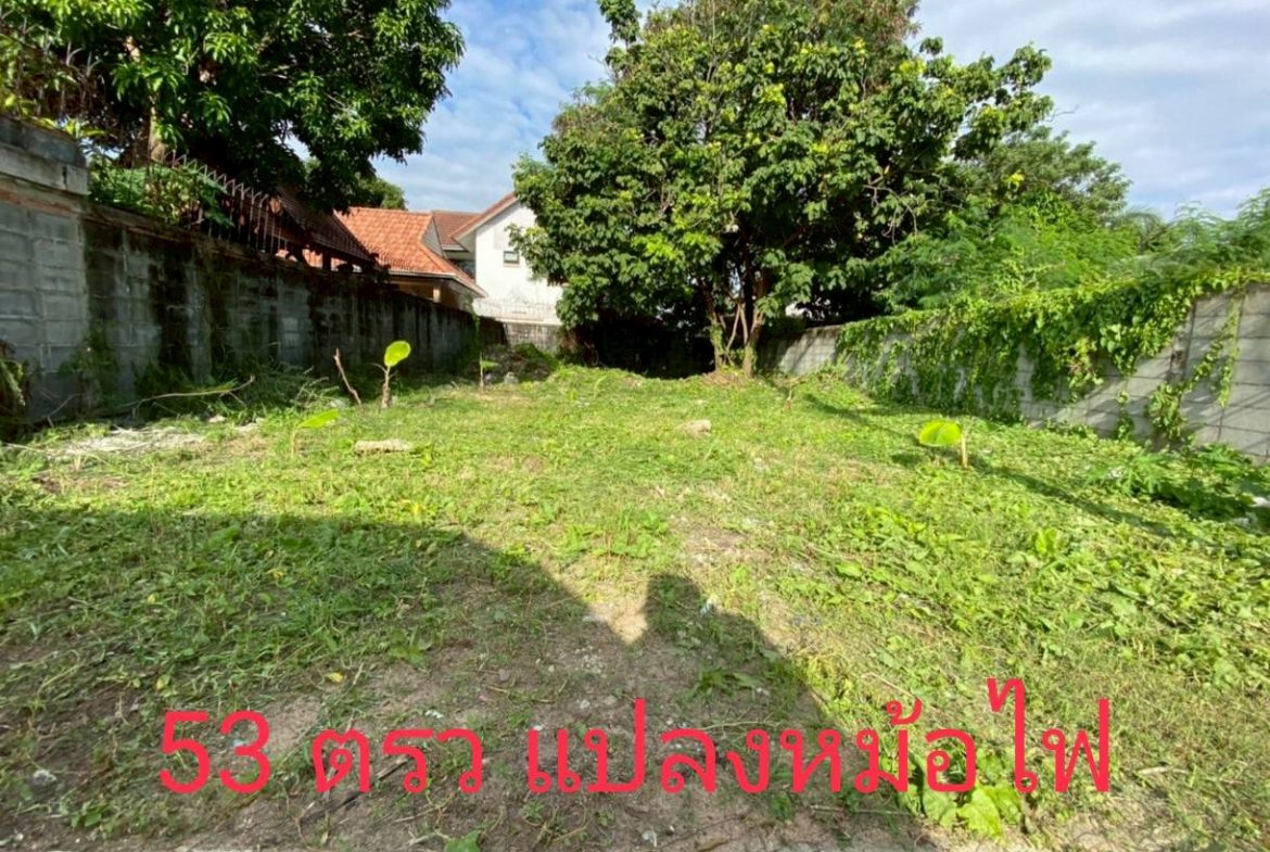 Без комплекса br sqm 1