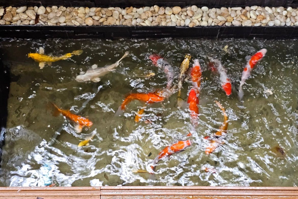 The Maple Pattaya 2br 212sqm 18