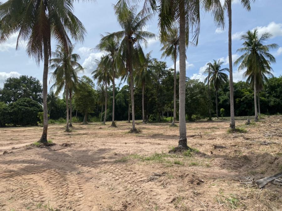 HYL23324_9 Без комплекса br sqm 10