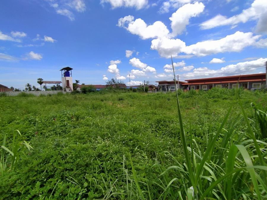 Без комплекса br sqm 6