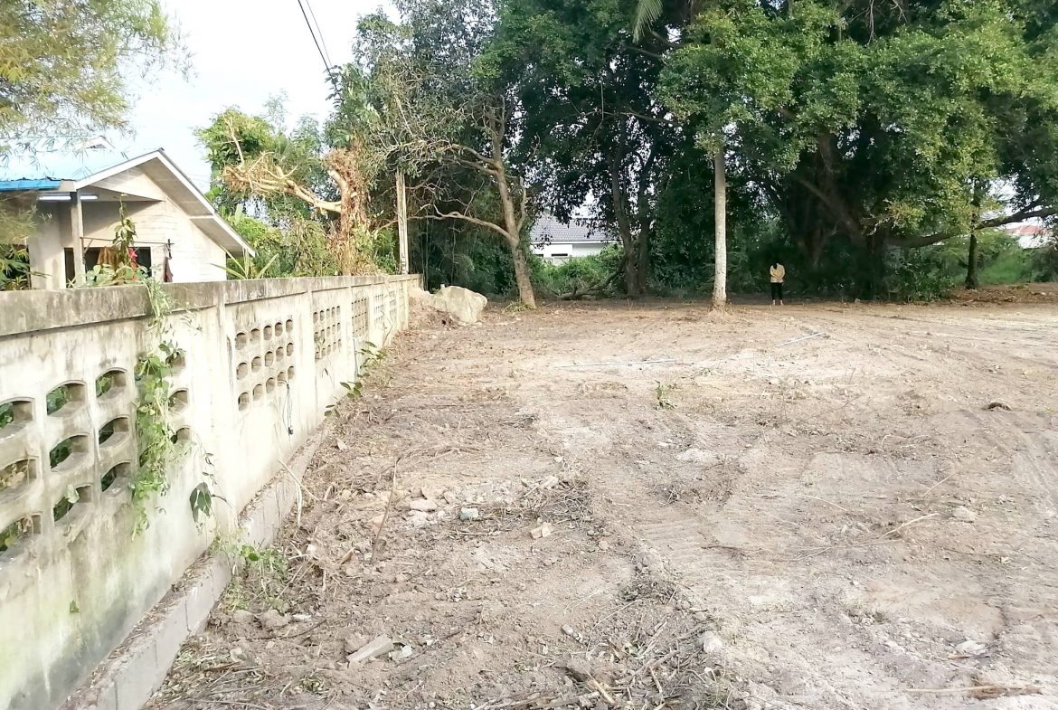 Без комплекса br sqm 1