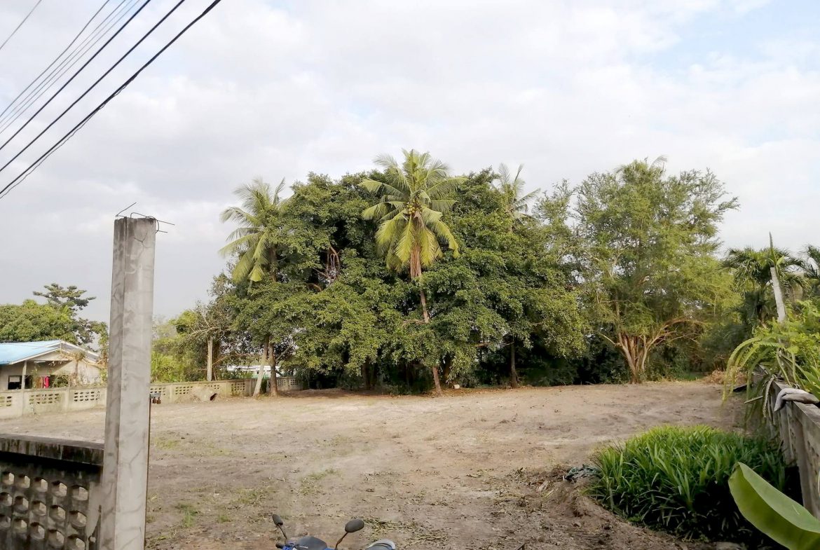 Без комплекса br sqm 2