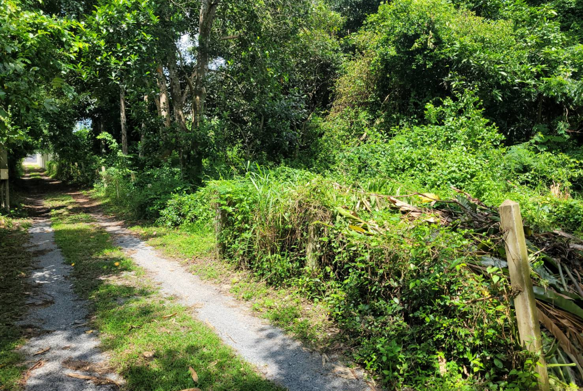 Без комплекса br sqm 3