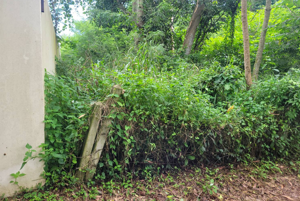 HYL24344_1 Без комплекса br sqm 4