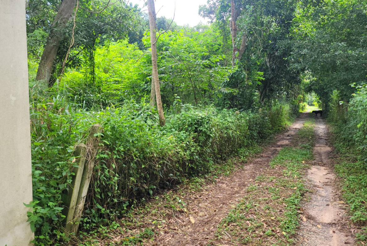 HYL24344_2 Без комплекса br sqm 5