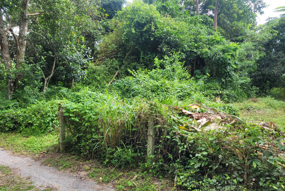 HYL24344_7 Без комплекса br sqm 10