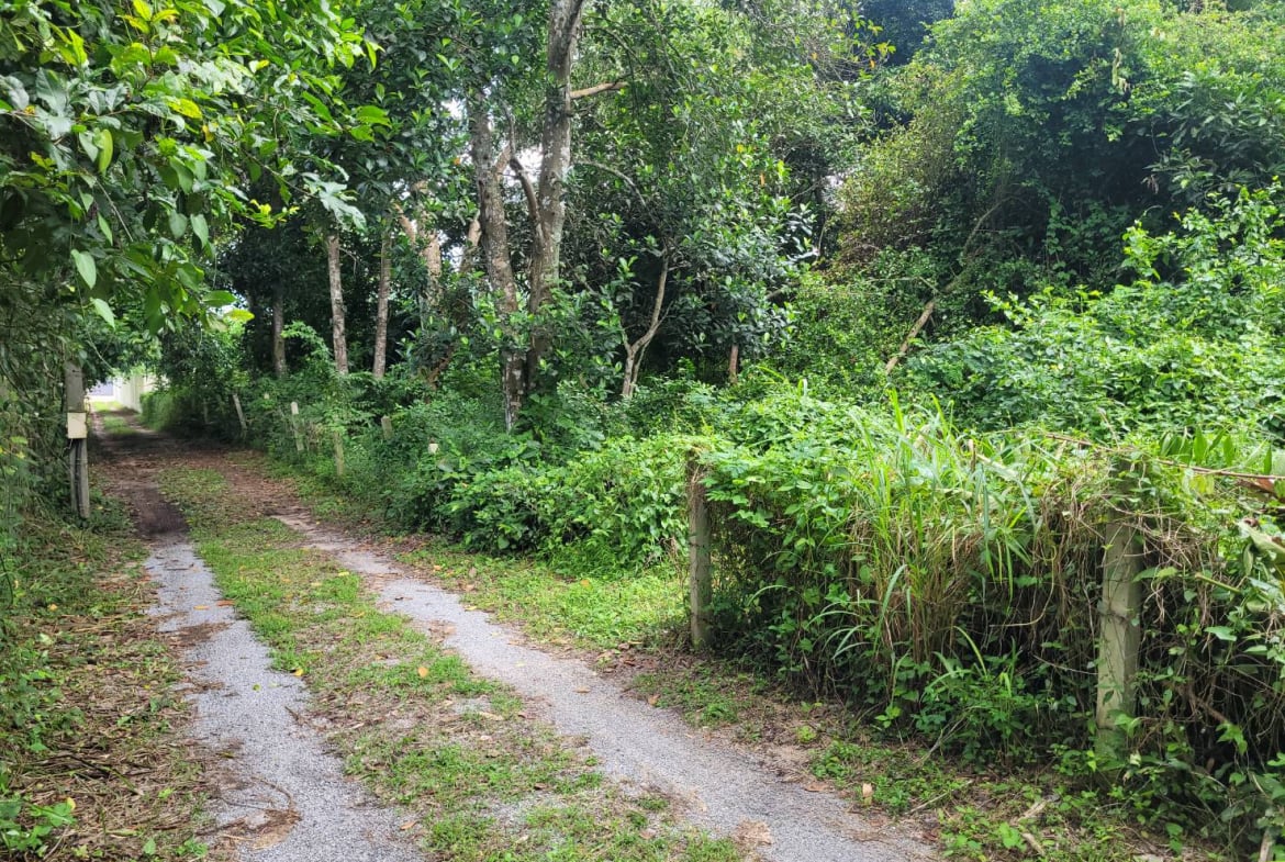 HYL24344_8 Без комплекса br sqm 11