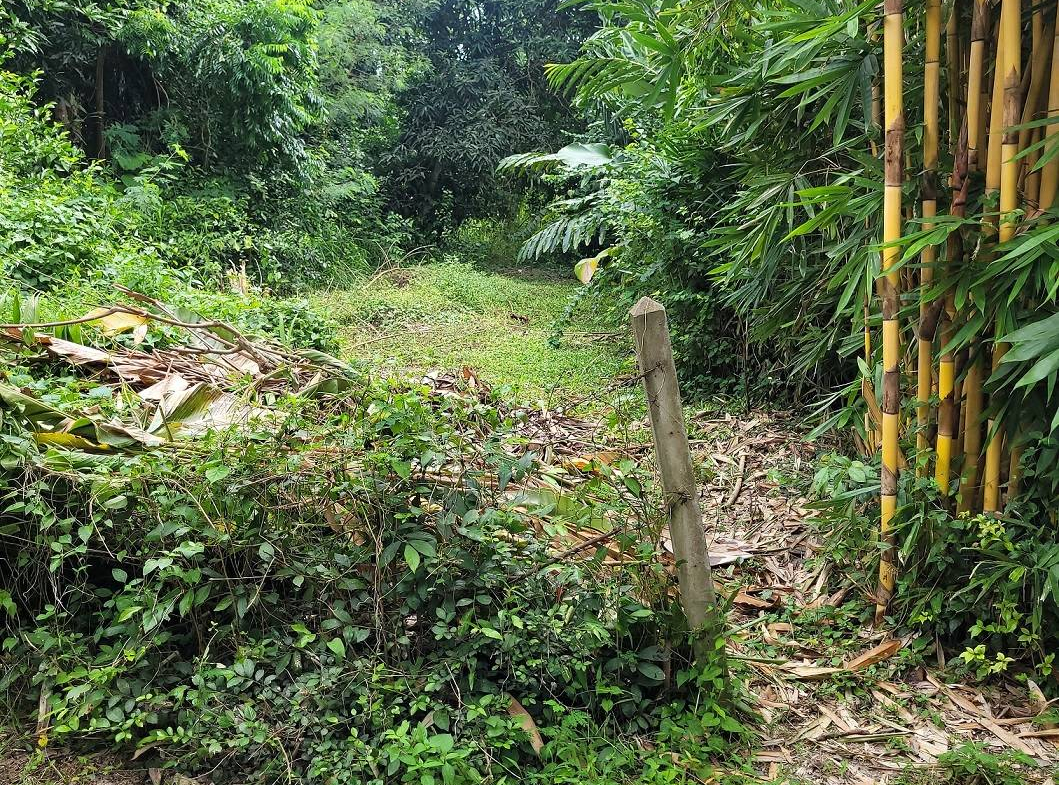 HYL24344_9 Без комплекса br sqm 12