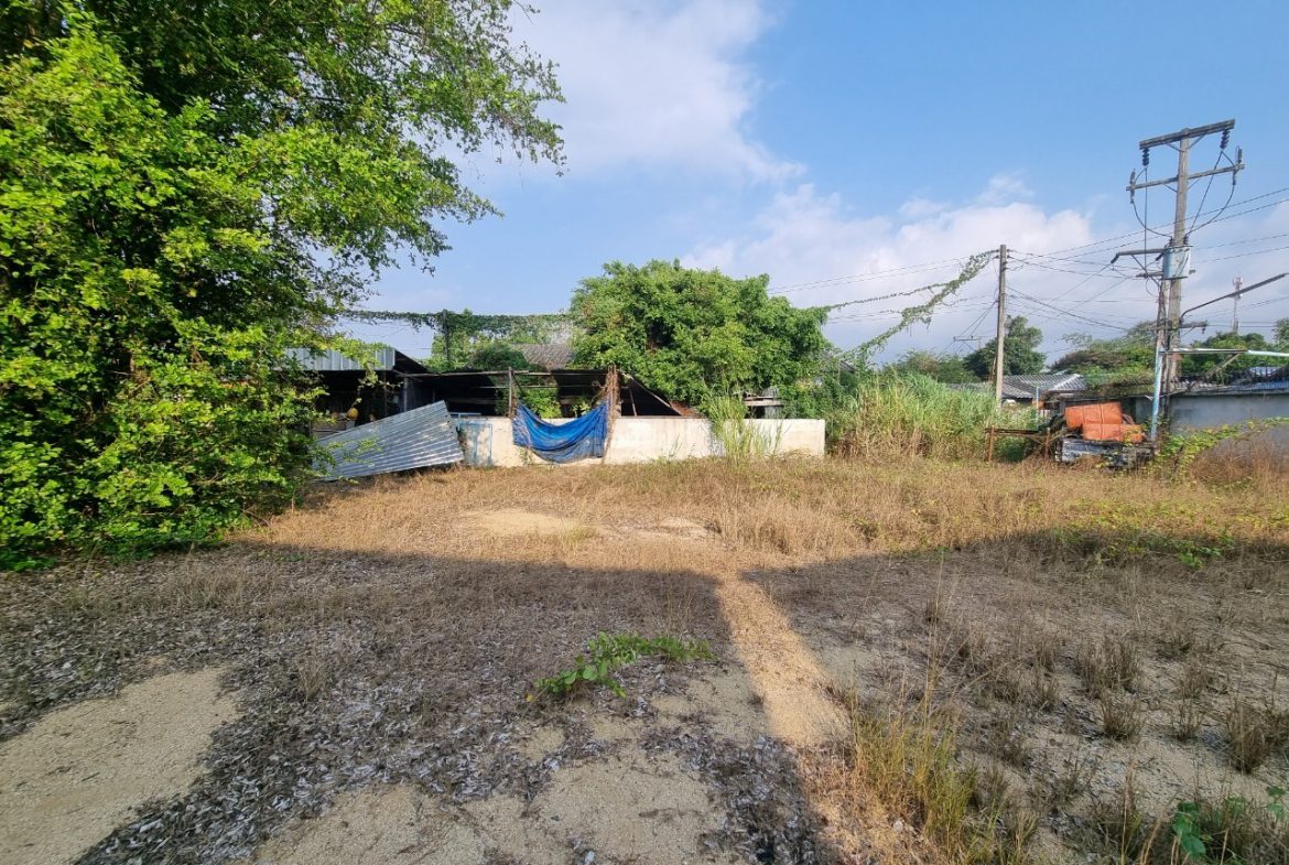 Без комплекса br 1784sqm 6