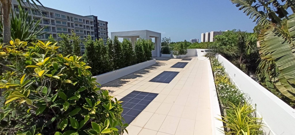 JTH16676_1 Palm Oasis 4br 480sqm 17