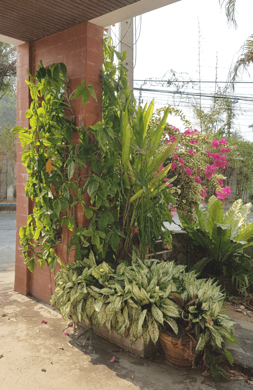 Jomtien Beach Paradise 3br 230sqm 4