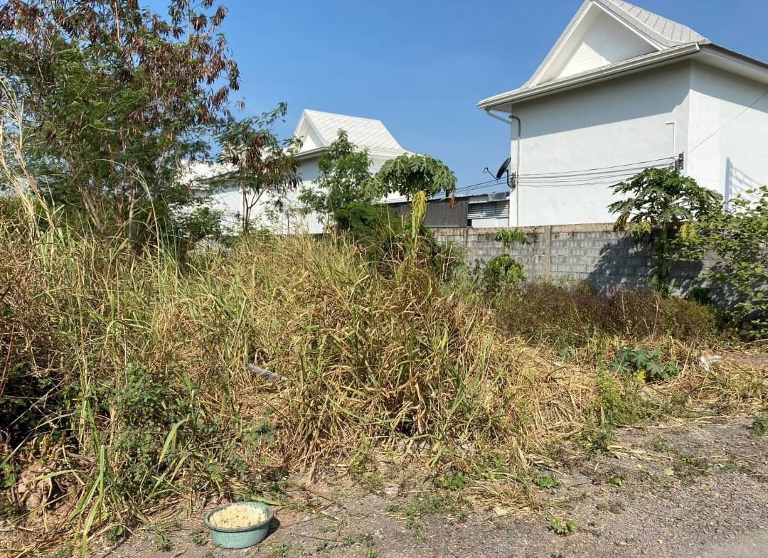 Без комплекса br 196sqm 6