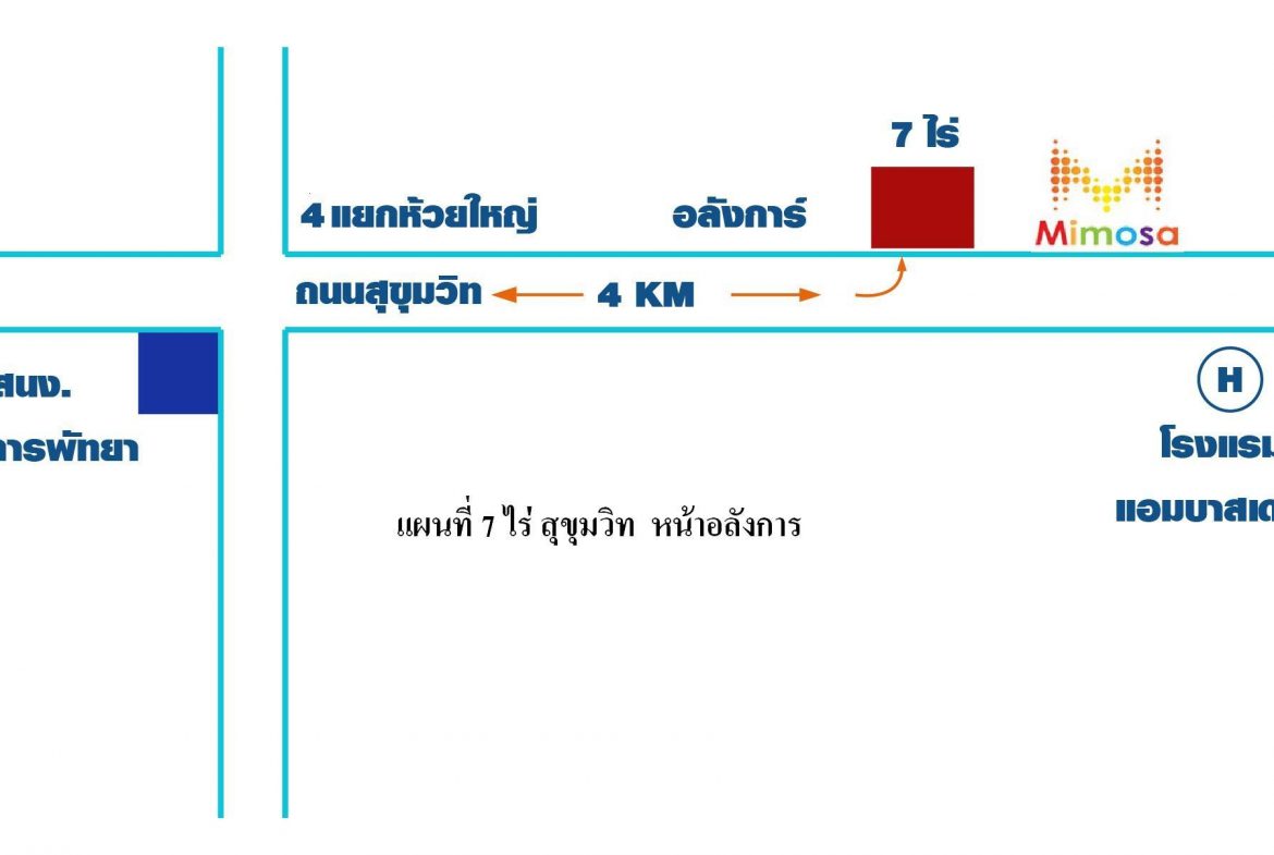 JTL25649_8 Без комплекса br 11637sqm 9