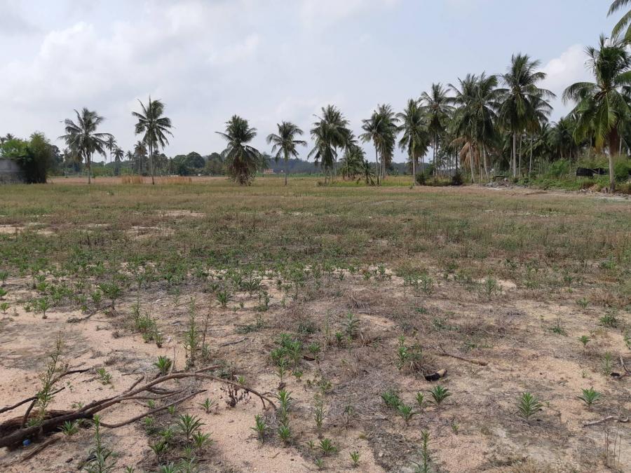 Без комплекса br sqm 5