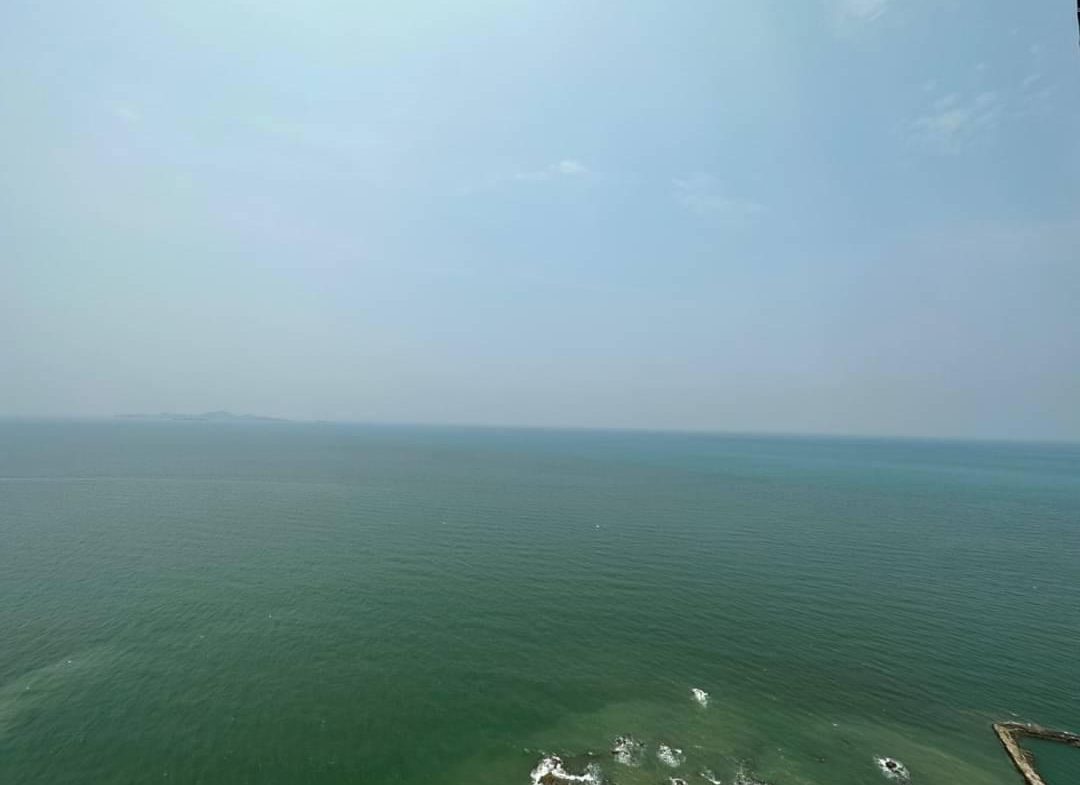 The Palm Wongamat Beach 1br 47sqm 6