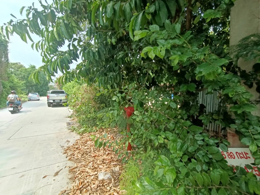 Без комплекса br sqm 3