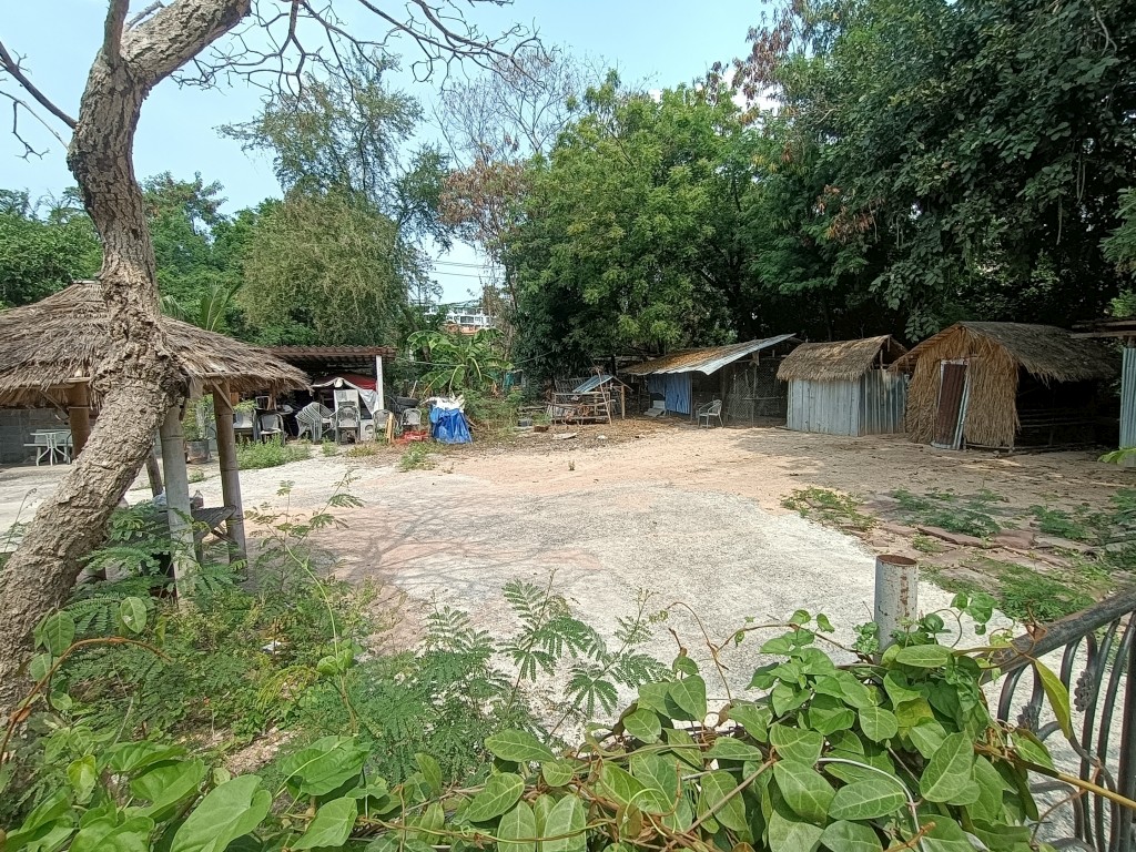 PTC23960_3 Без комплекса br sqm 4