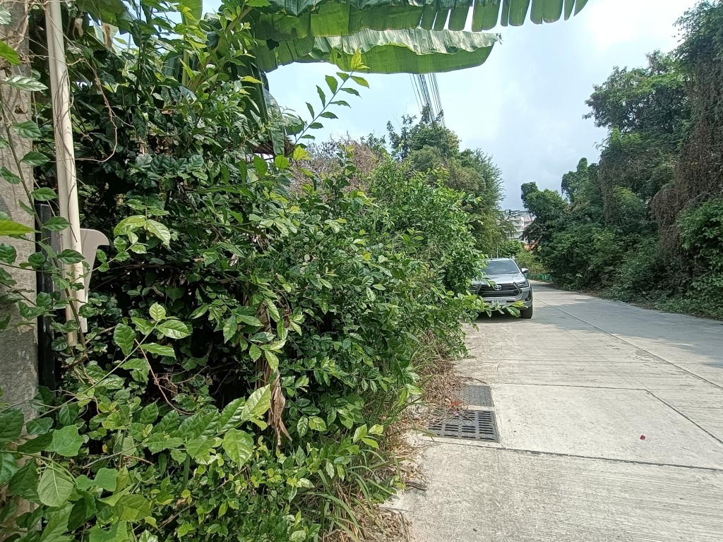 PTC23960_4 Без комплекса br sqm 5