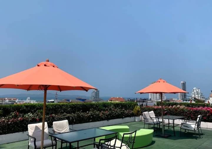 Art on The Hill br 50sqm 13