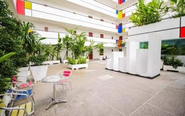 Art on The Hill br 50sqm 15