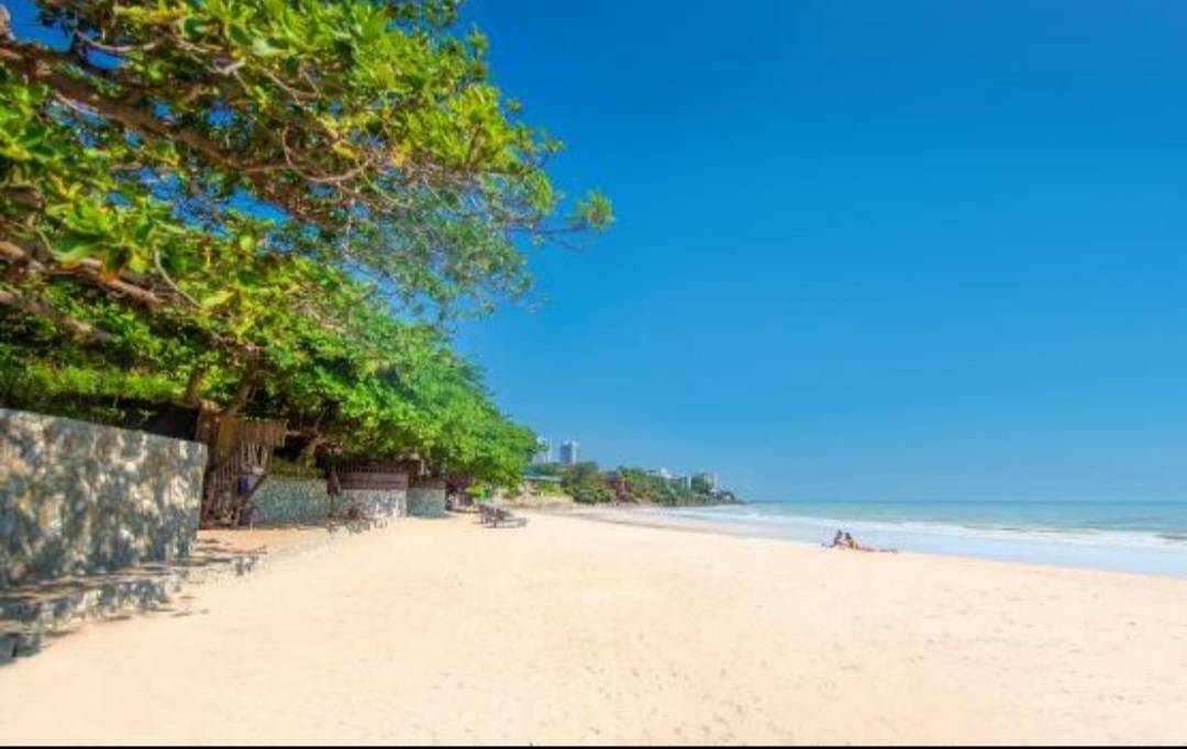 PTH24800_20 Majestic Residence 12br 780sqm 9