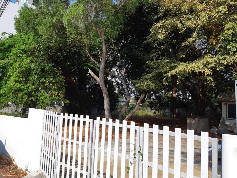 Без комплекса br sqm 8