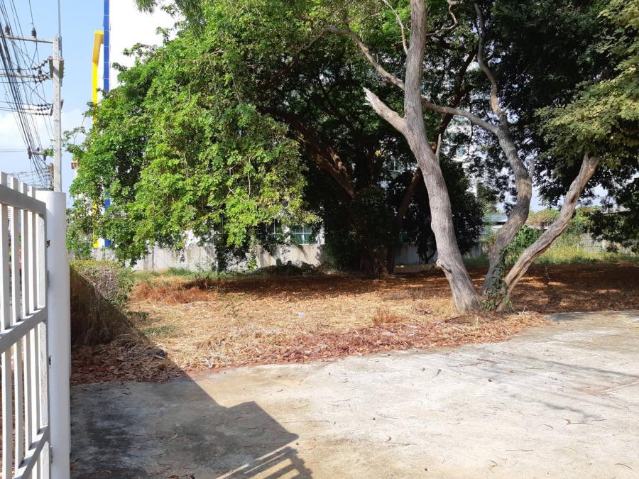 Без комплекса br sqm 9