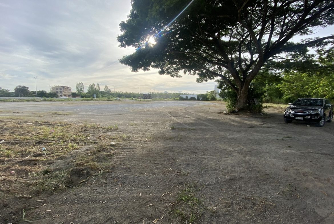 Без комплекса br sqm 1